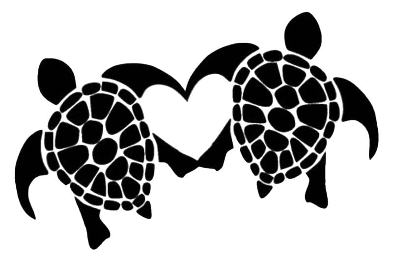Sea Turtle Conservation